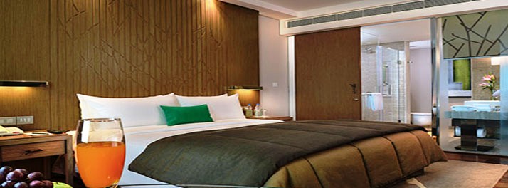 206/My Fortune - Bengaluru 07.jpg